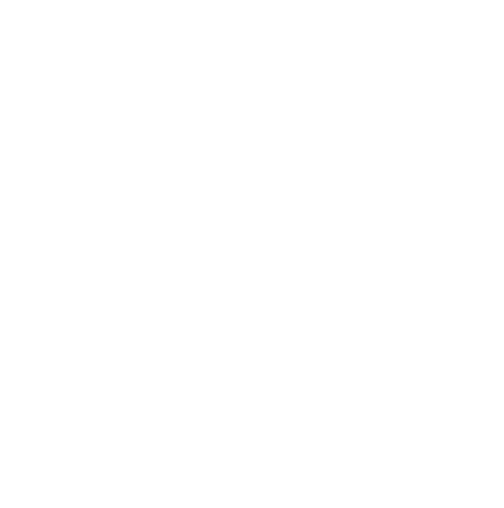 Logo Solis4